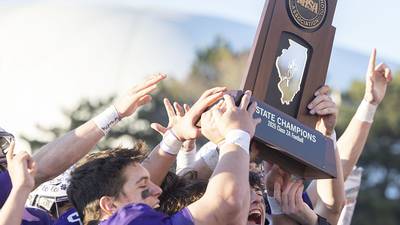 Photos: Wilmington vs Maroa-Forsyth Class 2A football finals