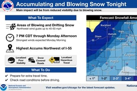 Blizzard warning issued for parts of Illinois as snow and 50-mph winds move in