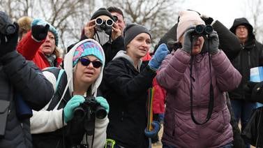 Eagle Watch returns to Channahon with raptors, hikes and hands-on fun