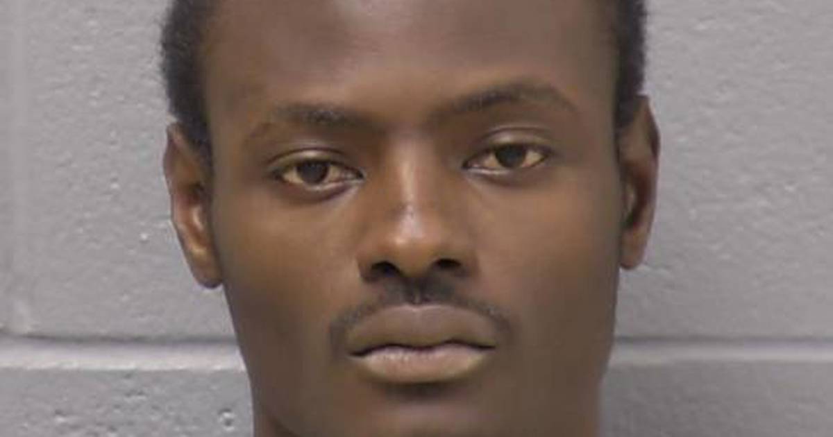 WILL COUNTY MUGSHOTS 2020 visual data 4