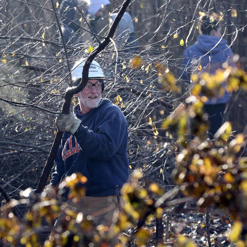 Jay Womack, chairman of the Geneva Natural Resources Committee, carries a tree branch to the brush pile during the Battle of the Brush Pile in Fabyan Forest Preserve in Geneva on Dec. 15. Now that so much buckthorn, honeysuckle and wild mustard have been removed, native species of trees, shrubs, flowers and sedge grass have started to grow again.
