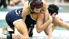 Over two dozen local boys wrestlers headed to state