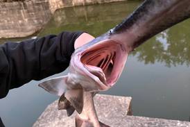 La Salle teen hooks unexpected catch at the Hennepin Canal
