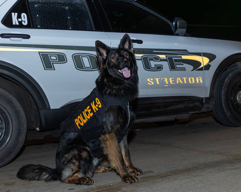 K9 'Bo' poses for photo in front of patrol car on Friday, January 9, 2026, at the Streator Police Department in Streator. 'Bo' and the Streator Police Department were gifted a protection vest by 'Vested Interest in K9s, Inc.'
