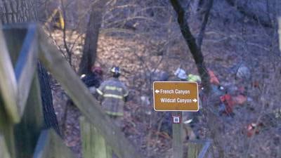 Man hospitalized after reports of naked man on psychedelic mushrooms at Starved Rock