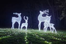 Illuminated holiday light shows, displays in Kane County