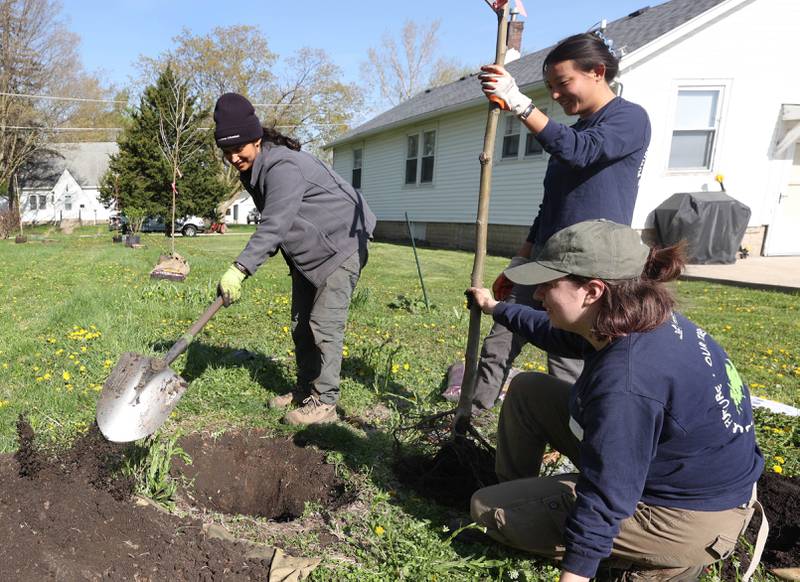 Lisa Nalliah, (left) Mia Howerton and Katrina Lewin, (right) from Morton Arboretum, demonstrate how to plant a tree for volunteers Tuesday, April 21, 2026, during the event at Elder Care Services in DeKalb. Several trees were planted at the location to kick off the DeKalb Township’s 250 Trees for Tomorrow initiative.