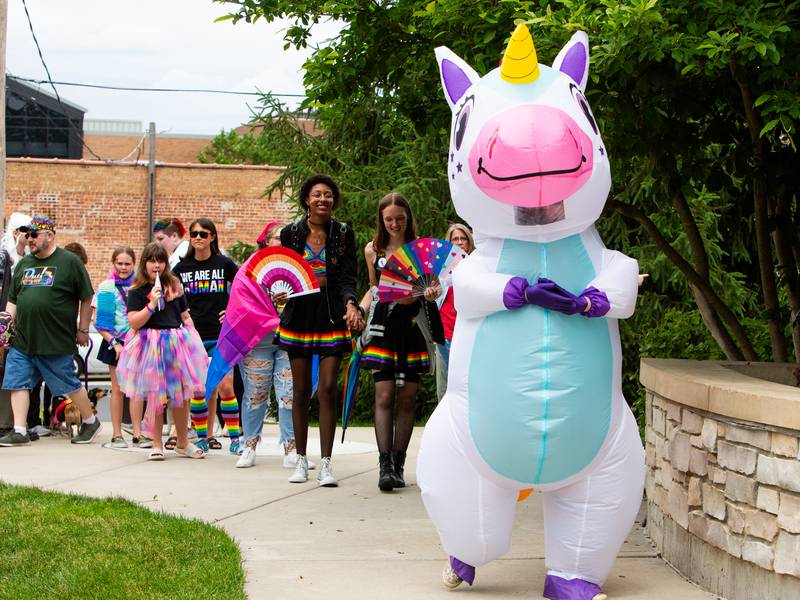 Request to terminate Downers Grove Pride month sparks debate
