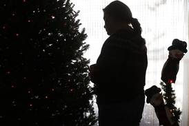 Fox Valley Hands of Hope offers holiday grief support