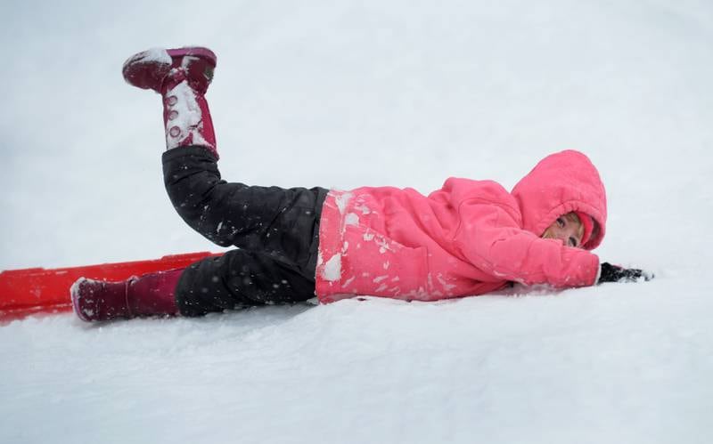 Layla Mason, 5, of Oregon, falls out of her sled midway down the sledding hill at Oregon Park West on Friday, Jan. 12, 2024  Friday's snowstorm brought more than 6 inches of snow to Ogle County by late afternoon creating difficult driving conditions for motorists, but plenty of fun for kids.
