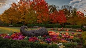 Celebrate the beauty of September at Cantigny Park in Wheaton 
