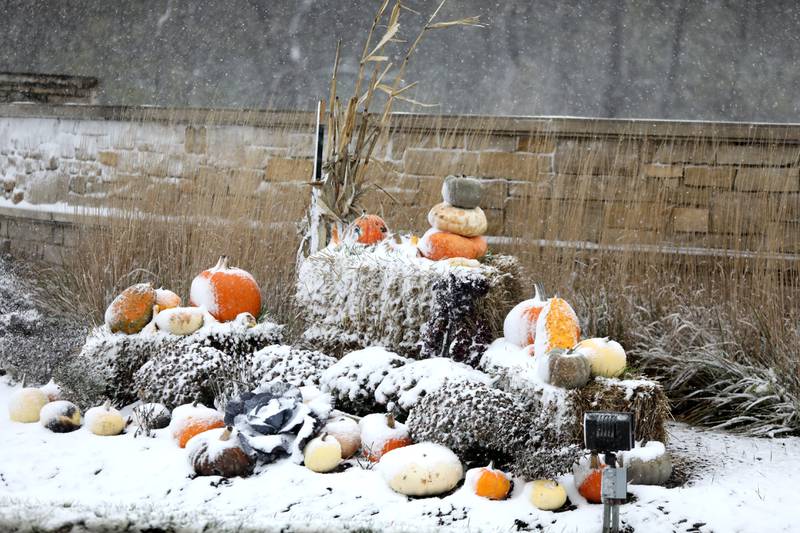 Kane County experienced the first snowfall of the season on Thursday, Nov. 21, 2024.