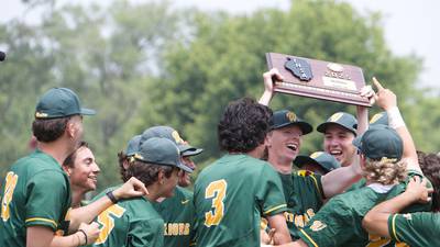 Photos: Downers Grove North vs. Waubonsie Valley baseball, Class 4A Lockport Sectional final