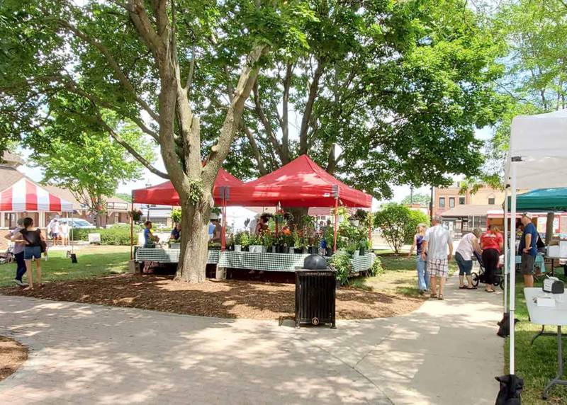Downtown Crystal Lake - Downtown Crystal Lake Farmers Market Returns on June 15!