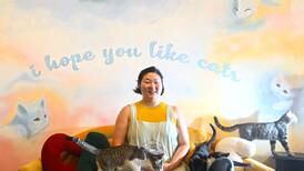 Suburbs’ first cat cafe lets you lounge with some cool kitties