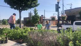 Beautify Dixon group launches neighborhood recognition program