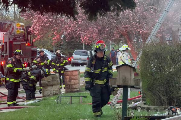 2 dogs die in Joliet house fire
