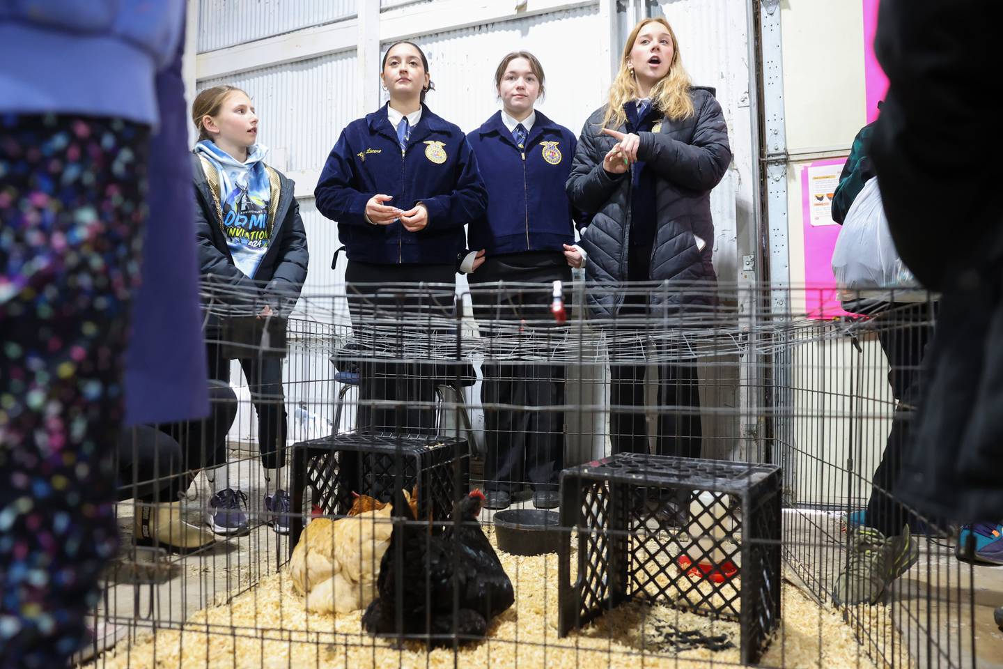 Tri-Point FFA members Madison McNeil, right, Adriana Hummel, center, and Aylin Lucero share poultry facts with fourth-graders during the Kankakee County Farm Bureau's 22nd Kids Day at the Farm held Thursday, March 20, at the Kankakee County Fairgrounds.