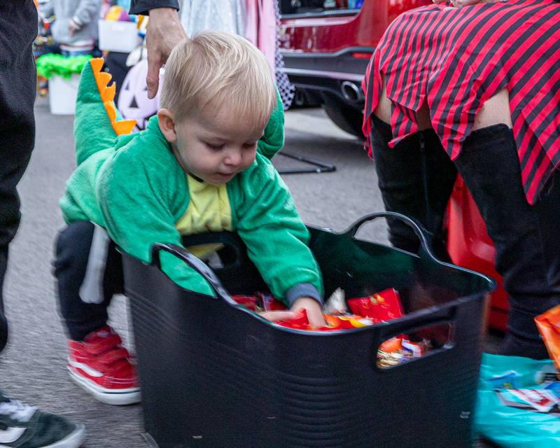 Oliver Gleim digs for candy in bucket at the trunk or treat event on Saturday, October 25, 2025 at Illinois Valley Auto Group in Peru.