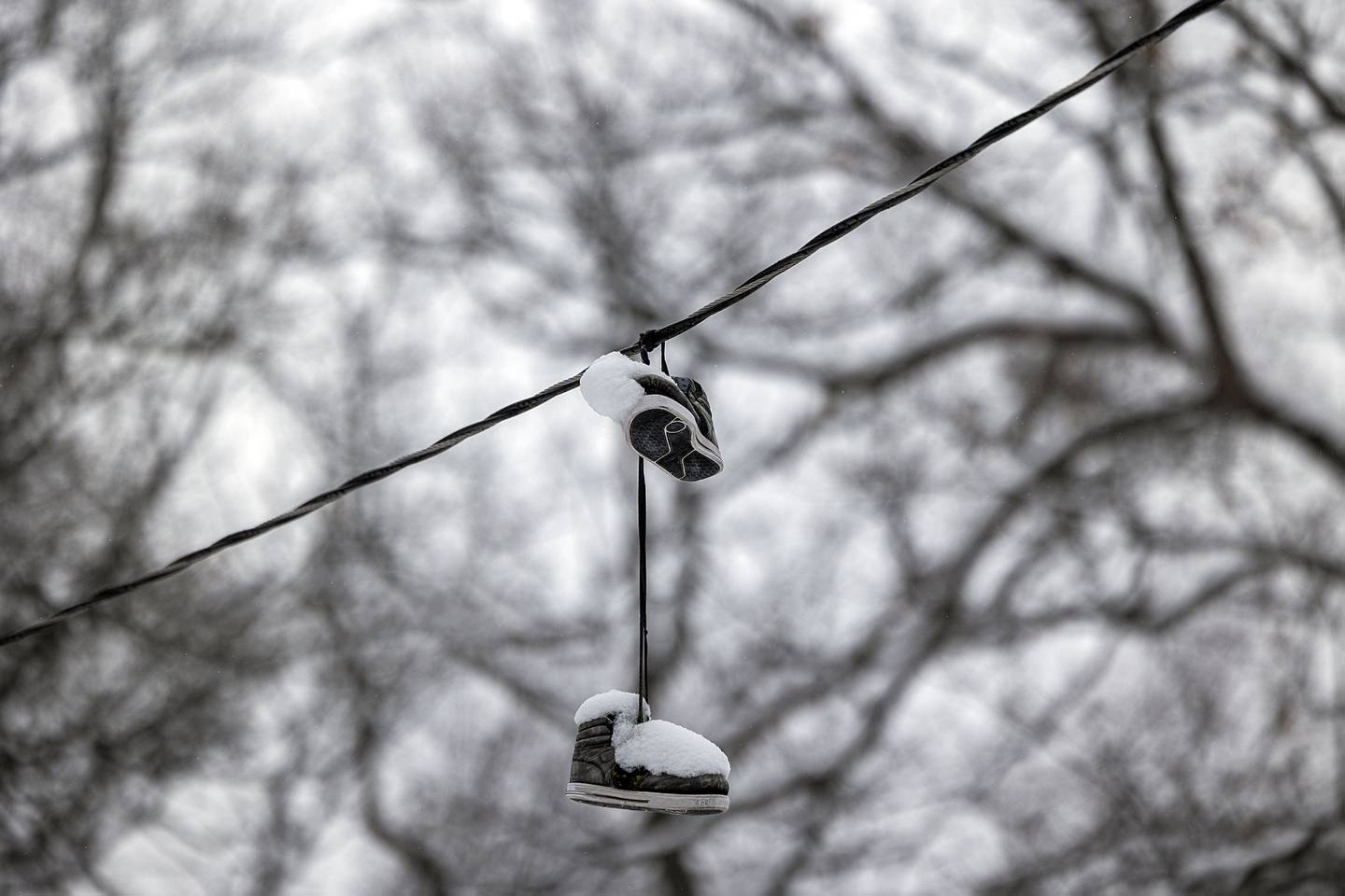 A pair of snow covered shoes hang from a wire in Sinnissippi Park in Sterling, Wednesday, Jan. 25, 2023.
