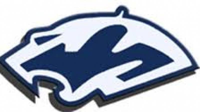Plainfield South baseball snaps Plainfield Central’s 15-game win streak: The Herald-News Thursday roundup
