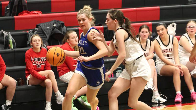 2025-26 Daily Chronicle girls basketball preview: 5 to watch