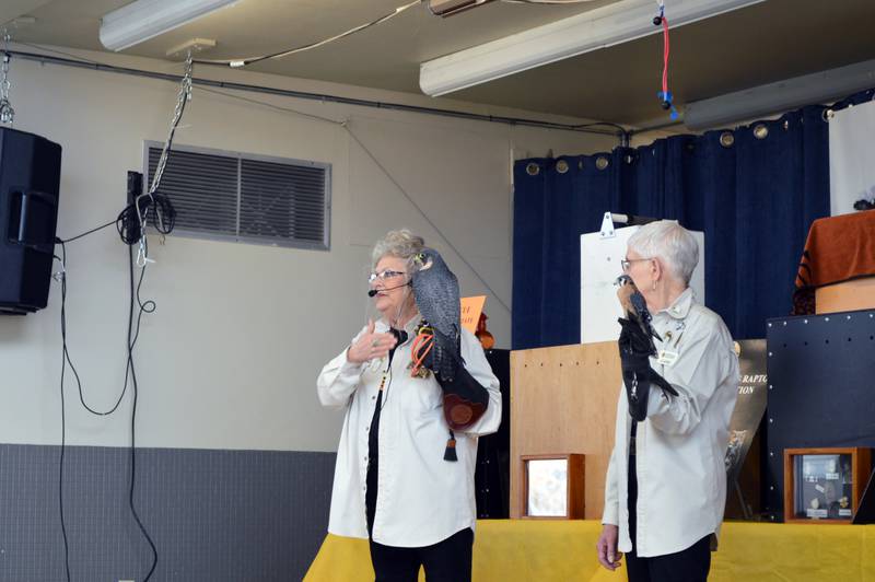 Candy Ridlbauer, CEO of Northern Illinois Raptor Rehab & Education, (left) holds a peregrine falcon while Cathy Hoover holds an American kestrel as a comparison of the size of the two birds, both of which are raptors, during a presentation at the Rock Falls Community Center on Saturday, Feb. 10, 2024.