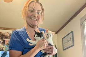 Unsung Heroes: Sterling woman working to address feral cat population