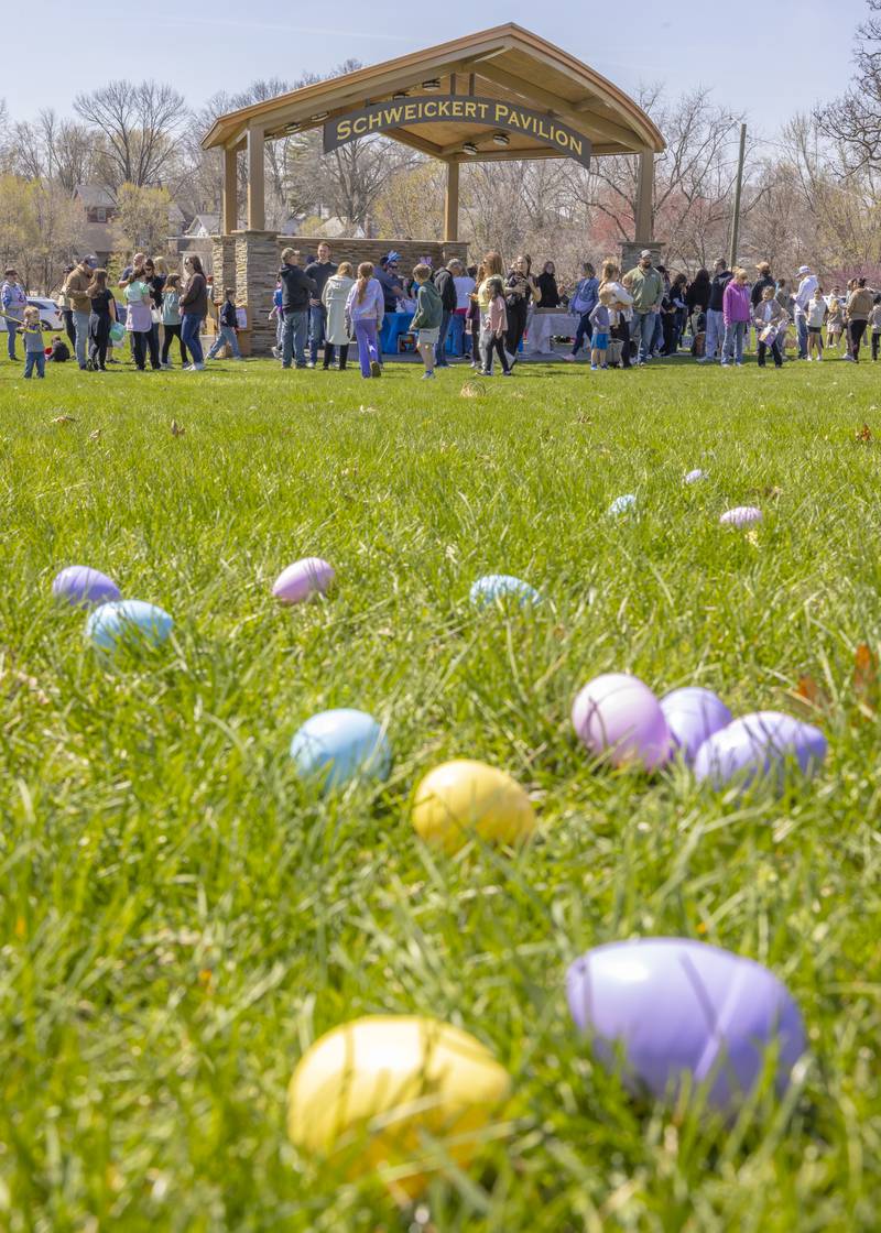 The Easter egg hunt drew a large crowd of participants on April 12, 2025 at Centennial Park in Peru.
