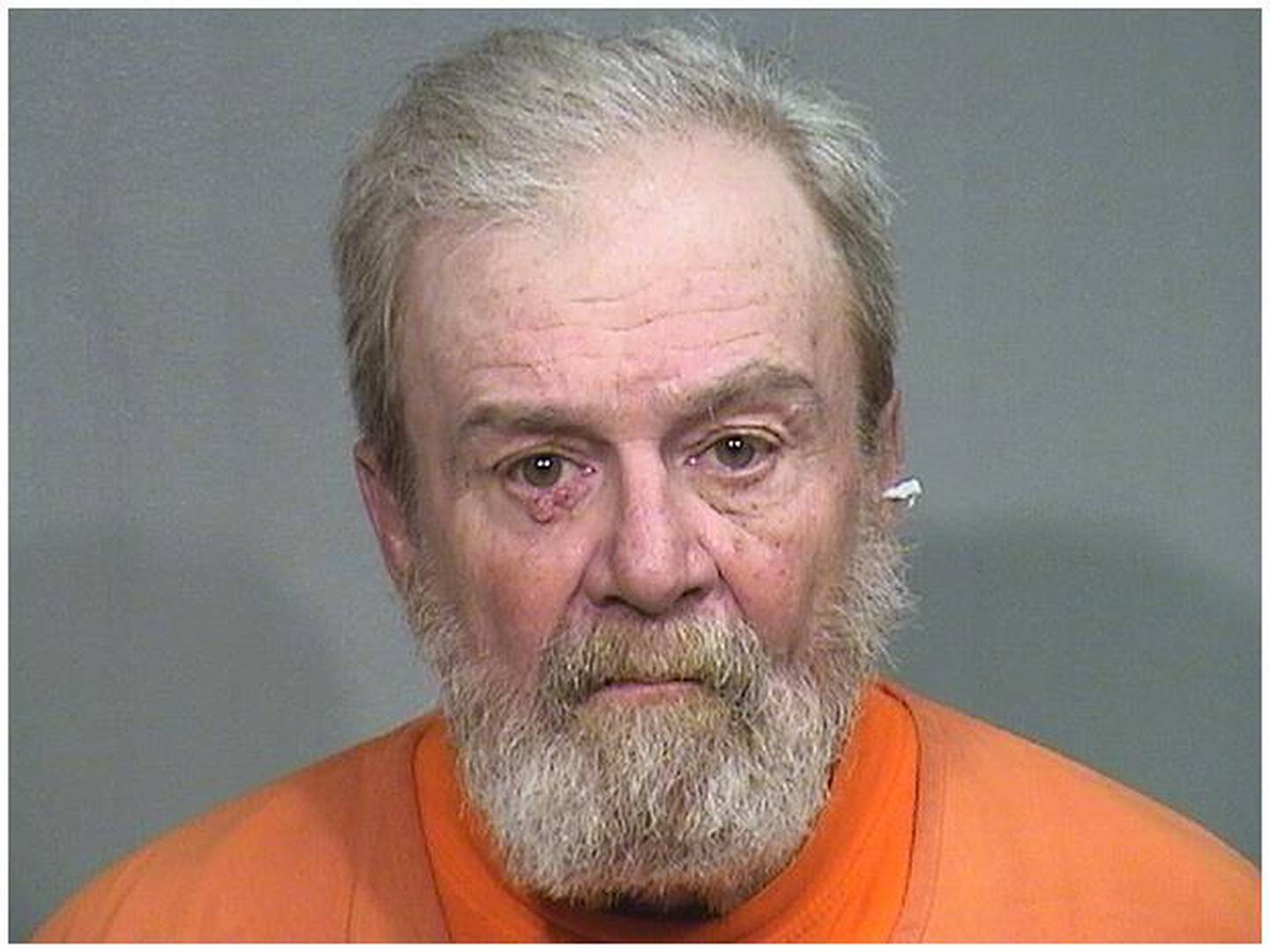 Arthur Johnson, accused in stabbing of another man in a Woodstock homeless encampment on Dec. 9, 2024.