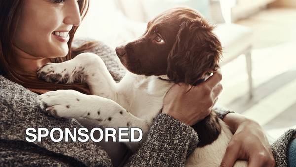 Celebrate Adopt a Shelter Dog Month With These Tips