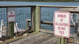 Dennis Marek: Have lawyers driven us to stupid?