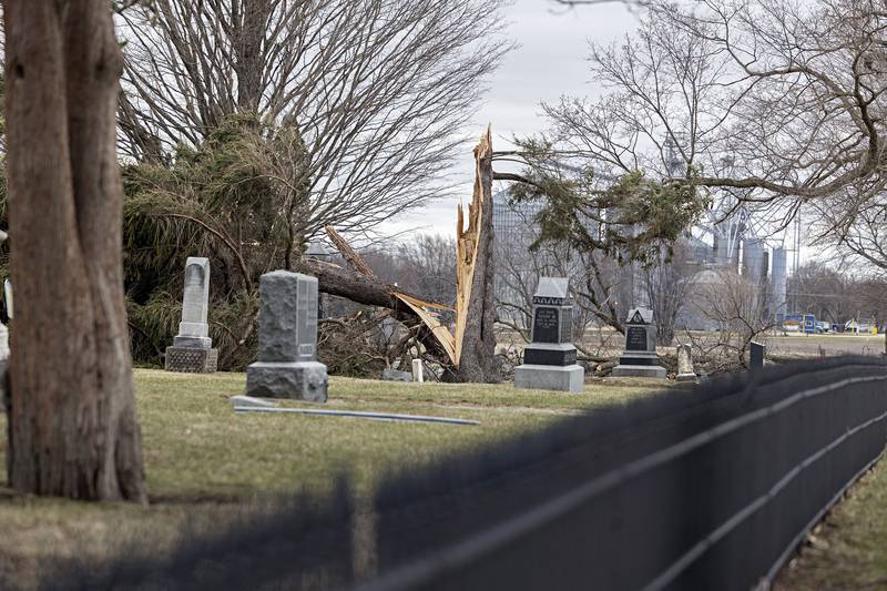 Downed trees and limbs are seen littering Prairie Repose Cemetery in Amboy Saturday, April 1, 2023 the day after a line of powerful storms roared through the Sauk Valley.