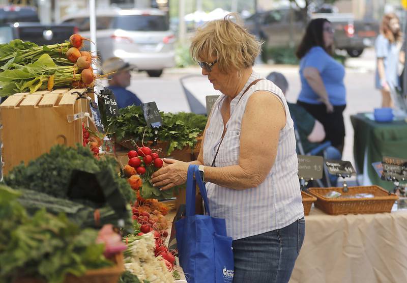 Kathy Turner of Crystal Lake looks at bunch of radishes from the Banford Road Farm booth as she shops Tuesday, June 20, 2023, at a Summer Woodstock Farmers Market around the Historic Woodstock Square. People were able to shop from over 40 of their favorite farms & producers for in-season food fresh produce, dairy, meats, breads, baked goods, spices, herbs, pasta, flowers and more.