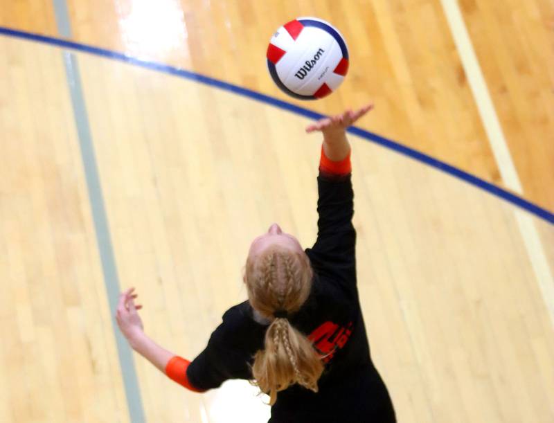Crystal Lake Central’s Katie Piech serves against Woodstock North in IHSA girls volleyball Class 3A Regional action at Woodstock High School in Woodstock on Thursday, October 30, 2025.