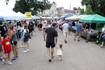 Must-visit northern Illinois farmers markets in 2025