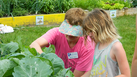 Online training course available to become an Illinois Master Gardener starting June 30