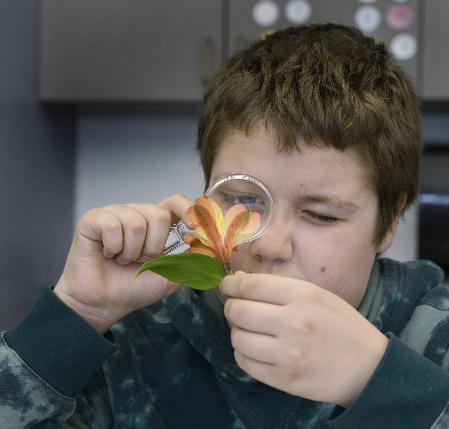 With a provided magnifying glass, Elijah Pennell examines the parts of a flower Thursday, April 21, 2022, during a special Ag in the Classroom visit to Rachel Reff's fourth grade class at Centennial School in Streator. The program is sponsored by the La Salle County Farm Bureau Foundation.