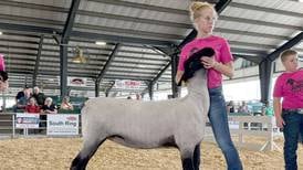 Princeton students compete in Section 3 FFA Summer Fair