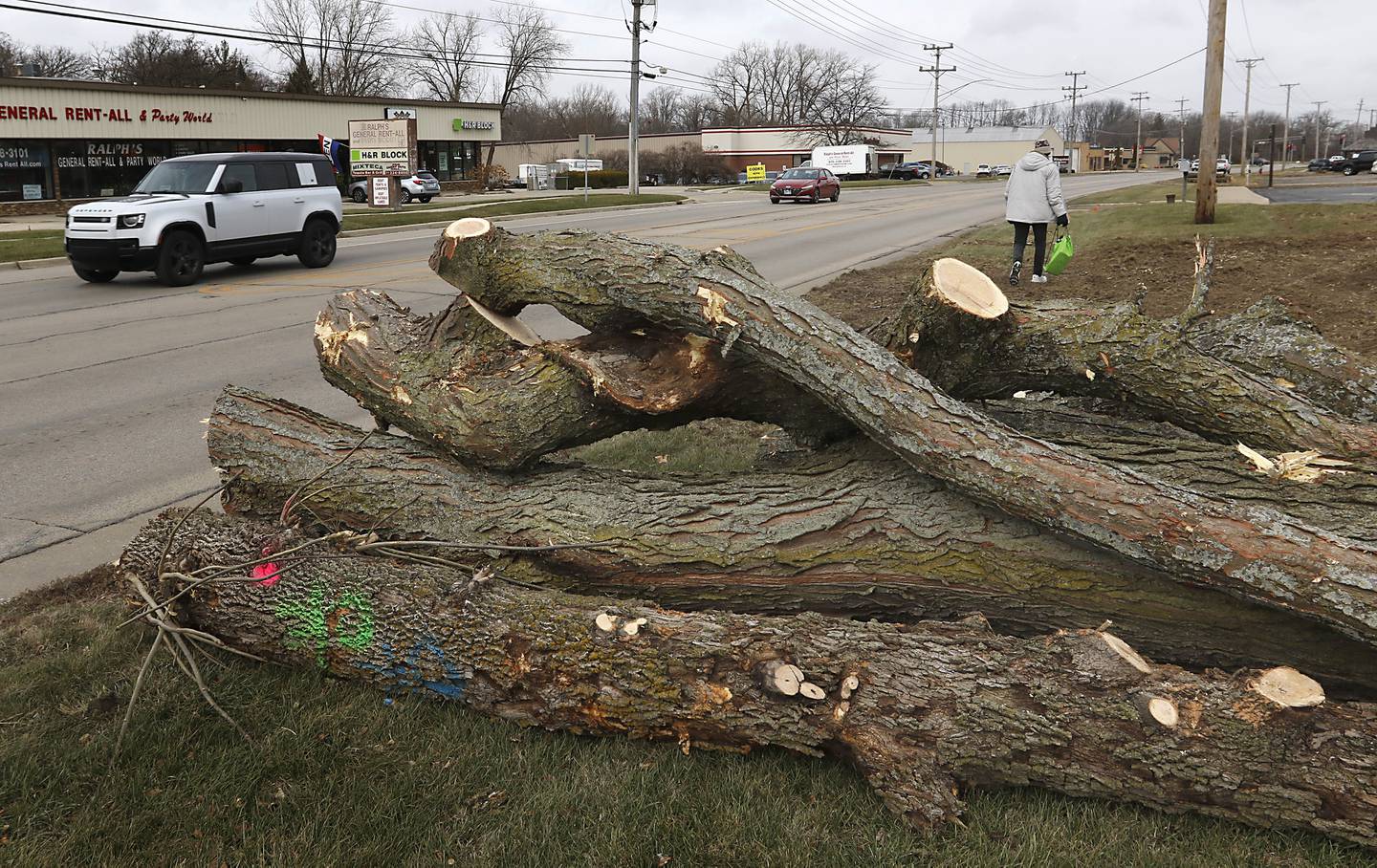 Logs are piled alongside Route 47 on Wednesday, Dec. 11, 2024, in Woodstock as tree removal continues in preparation for the Route 47 construction project.
