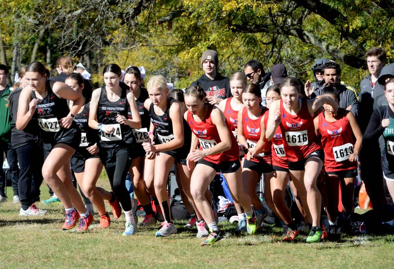 Oregon and Erie-Prophetstown runners start the girls varsity race at the 51st Annual Columbus Day Invitational at Shady Oaks Golf Course in Sublette on Monday, Oct. 14, 2024.