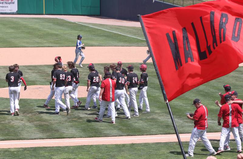 Members of the Henry-Senachwine baseball team gather on the mound after winning the Class 1A State semifinal game over Newman on Friday, June 2, 2023 at Dozer Park in Peoria.