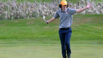 IHSA says boys golf scores weren't posted due to technical issue