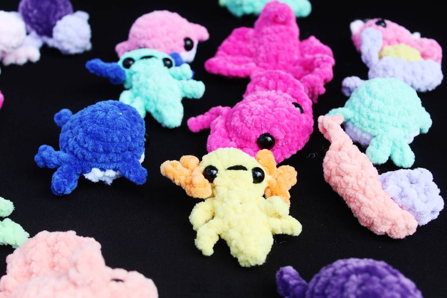 Kaelyn Carstens has sold her crochet design creations for a little more than a year, debuting at the Mount Carroll market in July 2024 with simple designs of fruits and vegetables. A year later, she has now evolved her designs to include animals of all shapes and sizes.