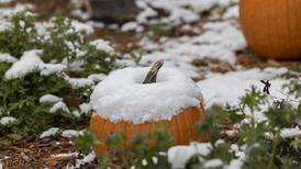 Photos: Snow blankets Sauk Valley