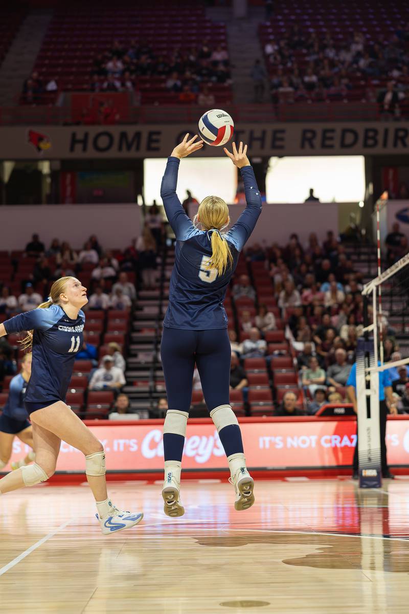 Cissna Park's Mady Marcott sets up Sophie Duis during the Timberwolves' victory in two sets, 25-19, 25-20, over Tremont in the IHSA Class 1A State semifinals on Friday, Nov. 14, 2025.