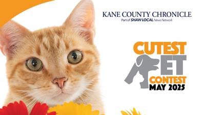 May 2025 Kane County’s Cutest Pet Contest