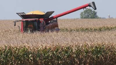 2 scholarships available from Marshall-Putnam Farm Bureau to study agriculture