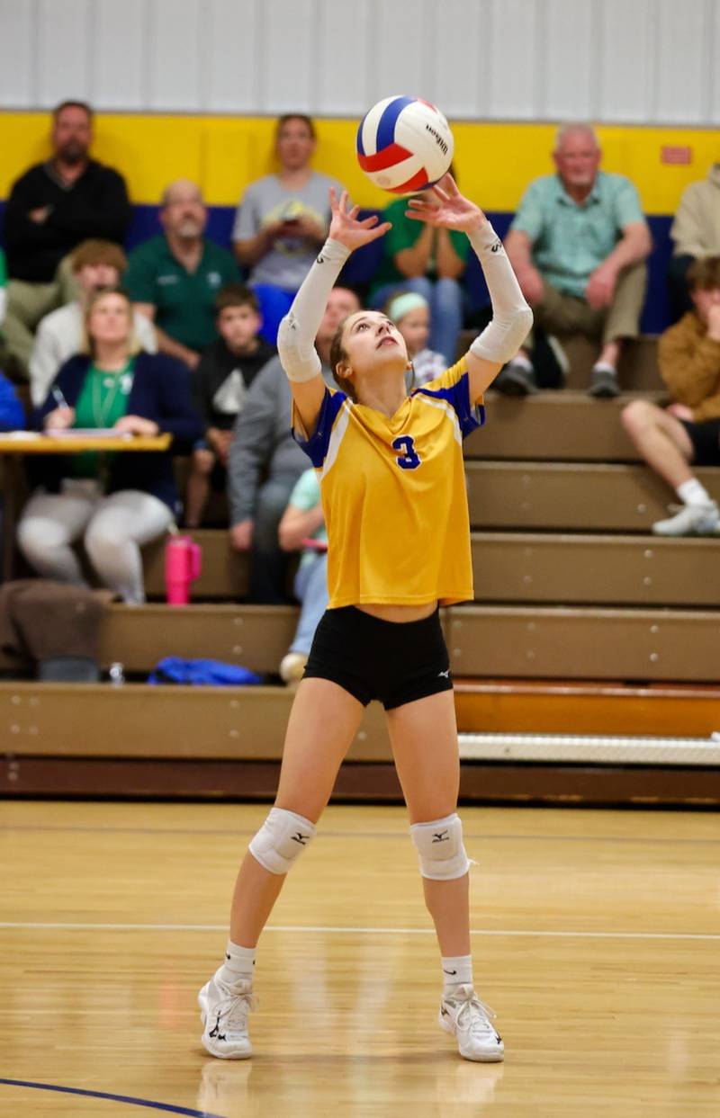 Princeton Logan's Leila Acker sets in Monday's Class 3A 8th grade sectional finals at Pannebaker Gym. The Lions fell in three sets to Morris Saratoga.