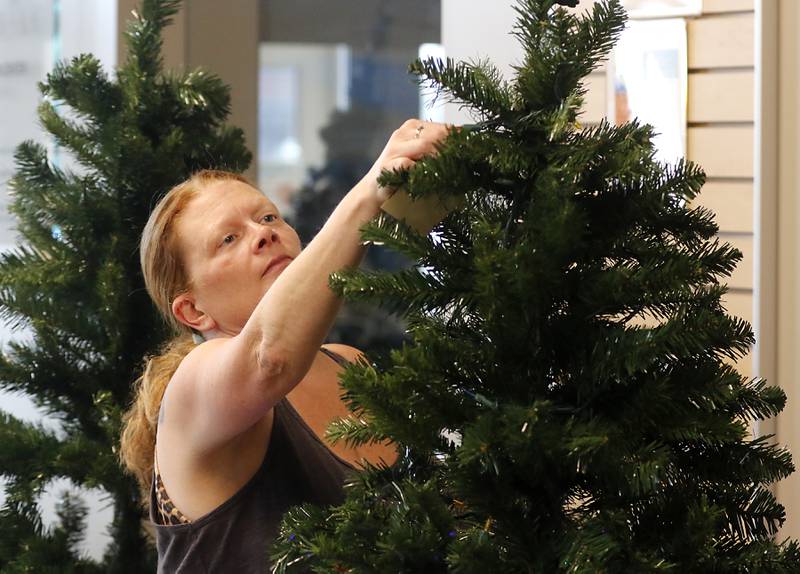 Diedra Giles decorates the Community Home Inspections trees on Thursday, Nov. 16, 2023, as she prepares the tree for the McHenry Chamber of Commerce Festival of Trees at the McHenry Recreation Center. The tree festival runs through Dec. 30, You can vote for your favorite Christmas tree by leaving canned food or toiletries under the tree you like best during normal business hours. All donations go to Veteran’s Path to Hope.